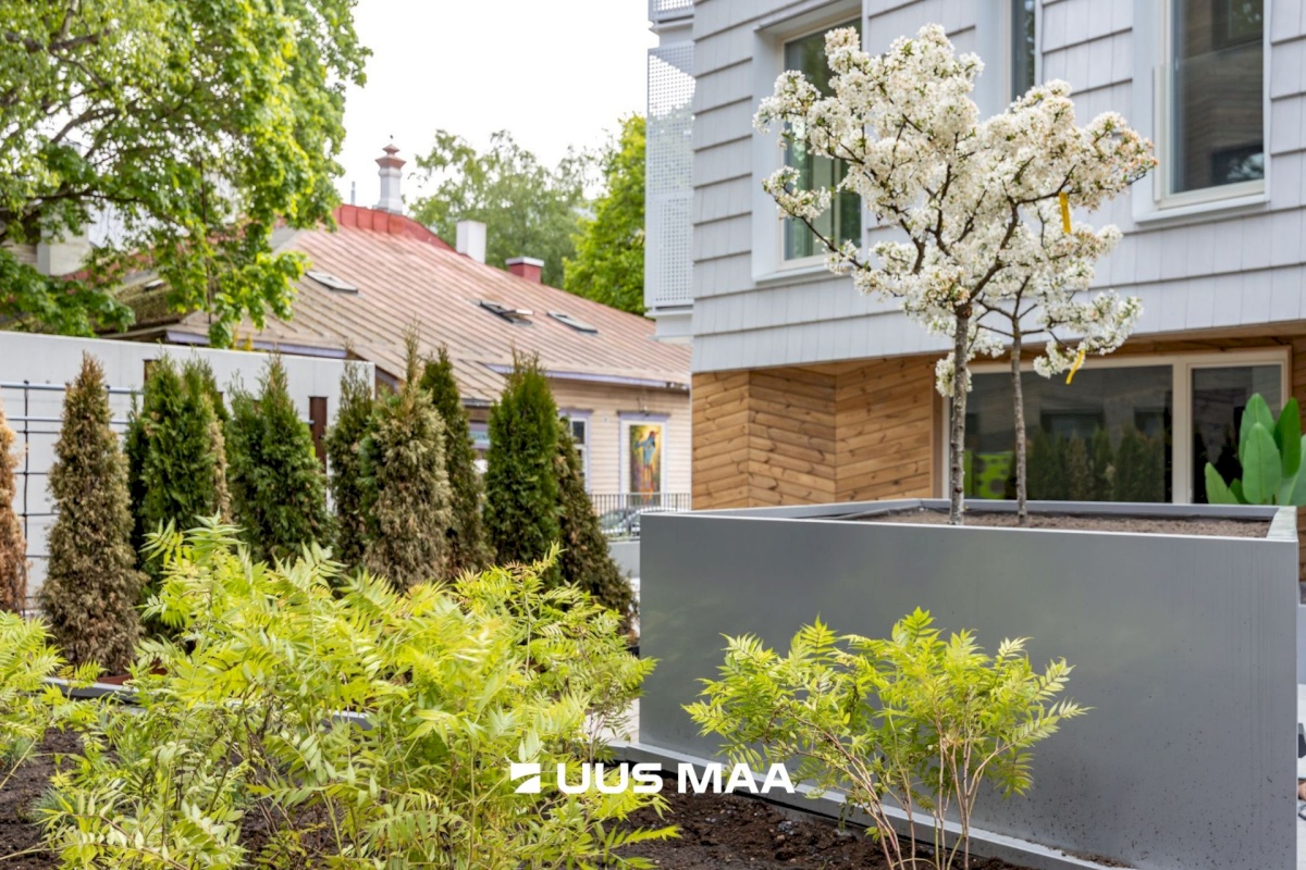 Tallinn, Kesklinna linnaosa, Kassisaba, Luise 13/2-5