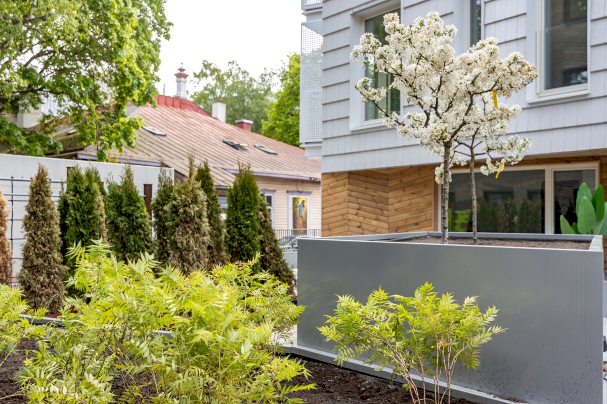 Tallinn, Kesklinna linnaosa, Kassisaba, Luise 13/2-2