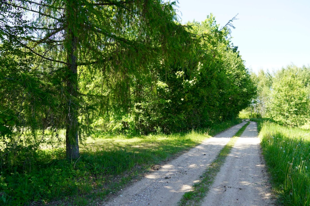 Võru vald, Meeliku küla, Ojavete