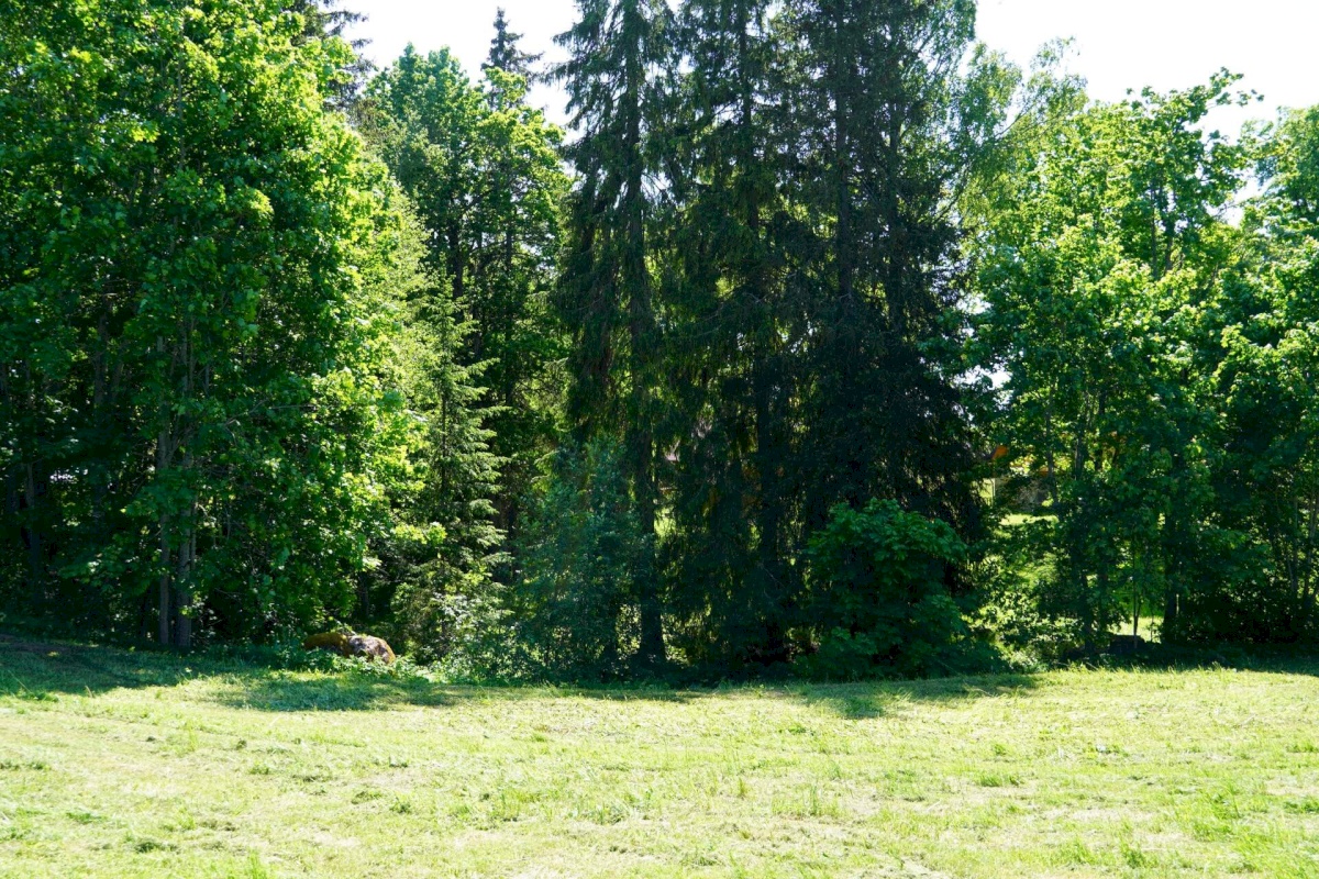 Võru vald, Meeliku küla, Ojavete