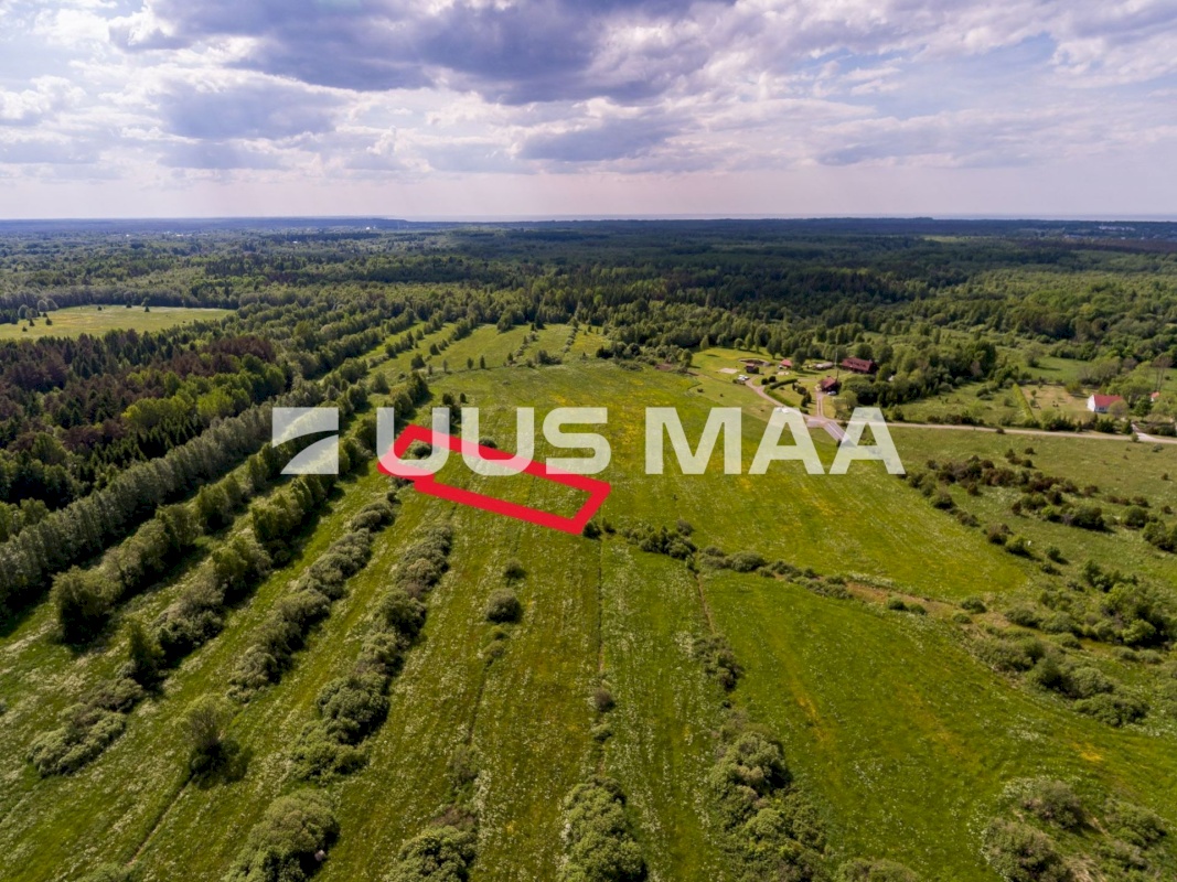 Harku vald, Ilmandu küla, Tuule põik 6