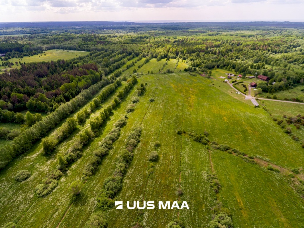 Harku vald, Ilmandu küla, Tuule põik 6