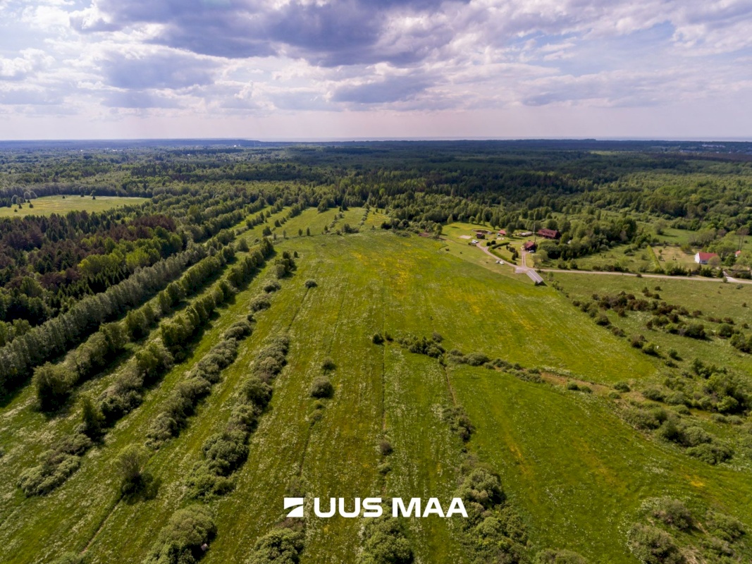 Harku vald, Ilmandu küla, Tuule põik 6