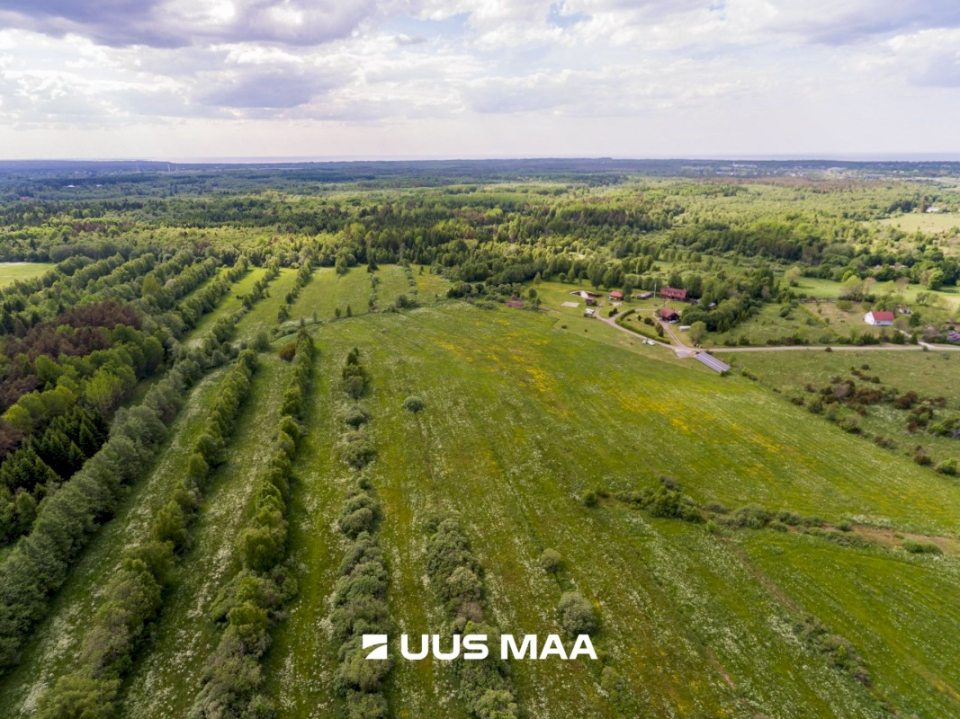 Harku vald, Ilmandu küla, Tuule põik 6