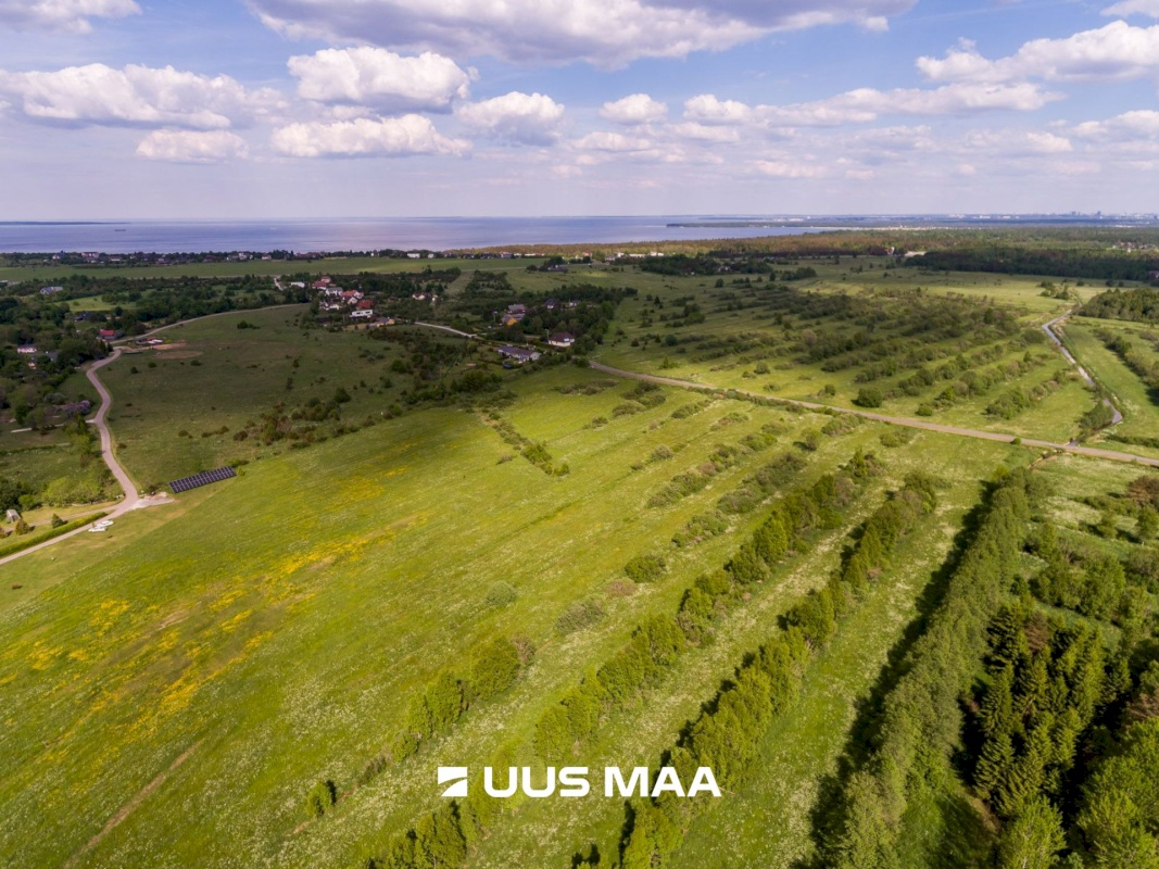 Harku vald, Ilmandu küla, Tuule põik 6