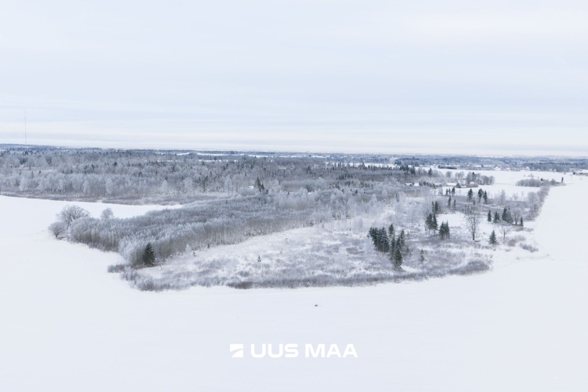 Järva vald, Ervita küla