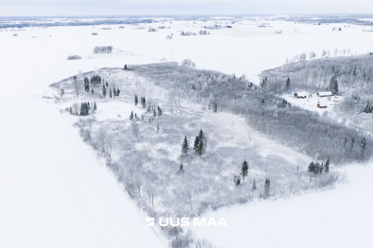 Järva vald, Ervita küla