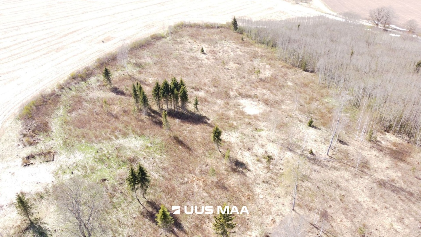 Järva vald, Ervita küla
