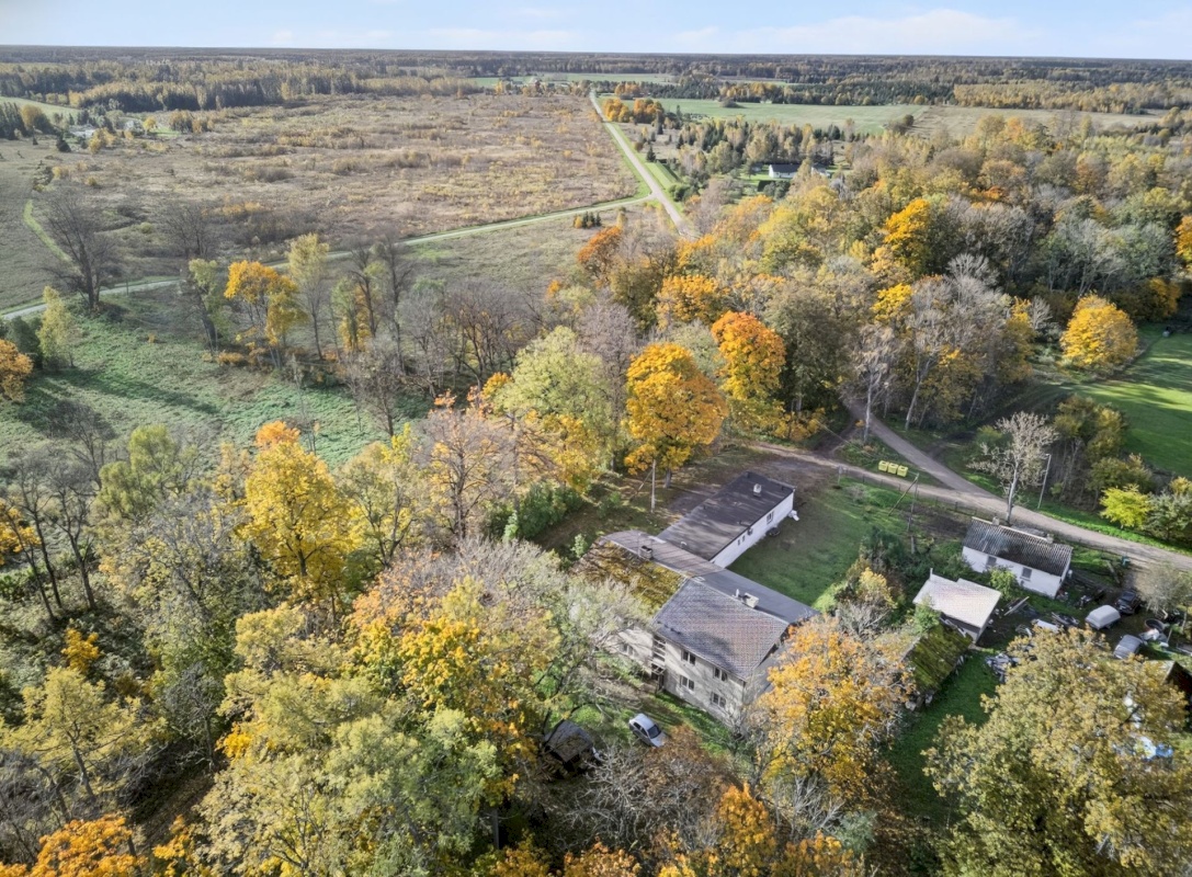 Kohila vald, Salutaguse küla, Saarepuu