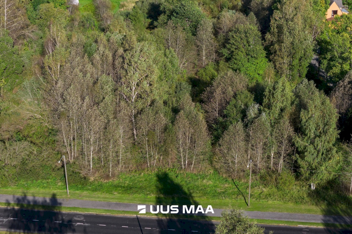 Tori vald, Sindi linn, Turba 3