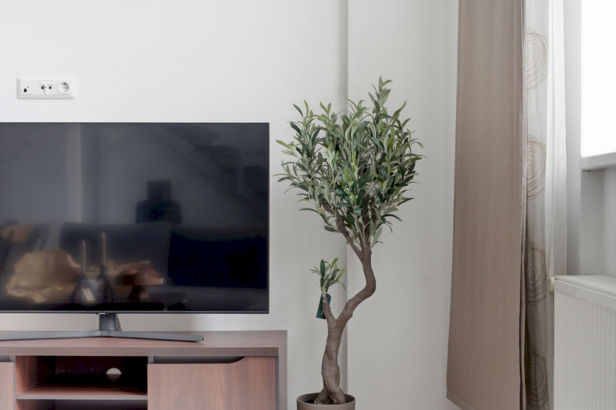 Tallinn, Põhja-Tallinna linnaosa, Pelgulinna, Kaera tn 22