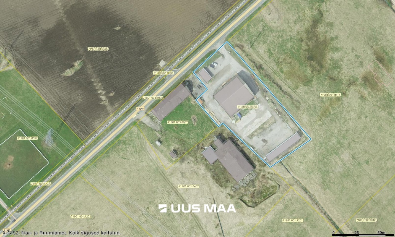 Saku vald, Üksnurme küla, Suurevõidu