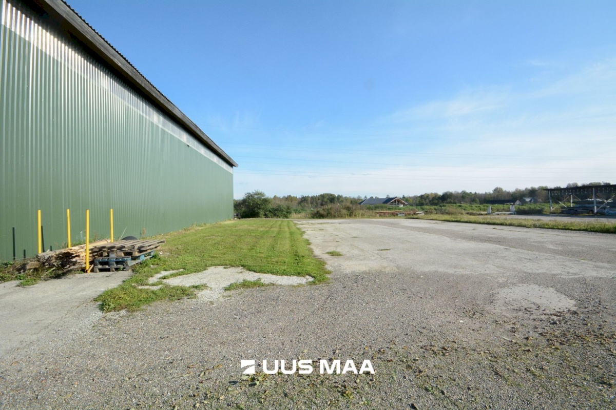 Saku vald, Üksnurme küla, Suurevõidu