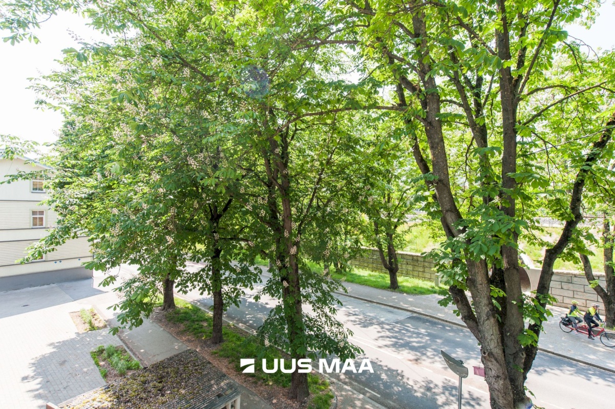 Tallinn, Kesklinna linnaosa, Kassisaba, Tehnika tn 33