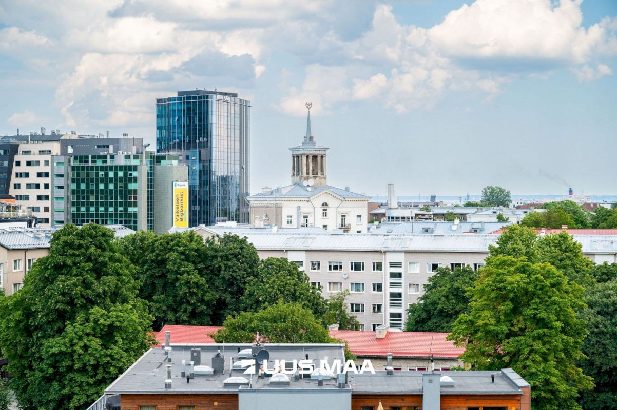 Tallinn, Kesklinna linnaosa, Mardi 6