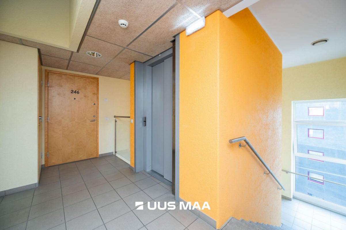 Tallinn, Kesklinna linnaosa, Mardi 6