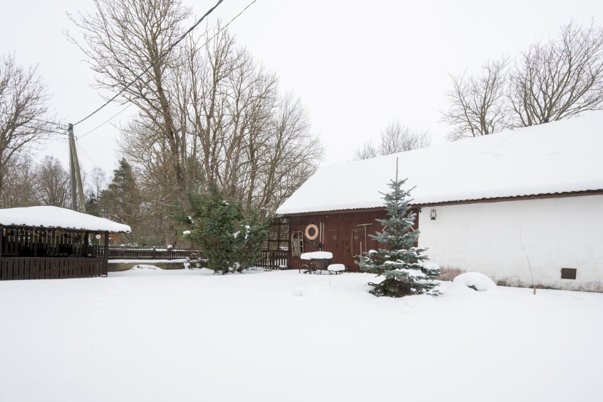 Lääne-Nigula vald, Taebla alevik, Papli pst 1