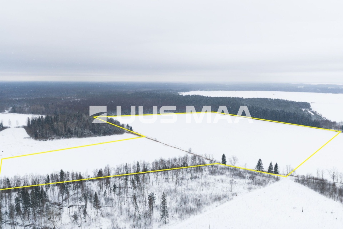 Saue vald, Lehetu küla, Jõetaguse