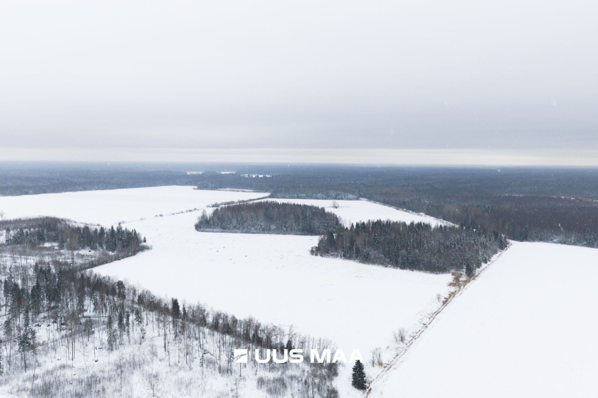 Saue vald, Lehetu küla, Jõetaguse