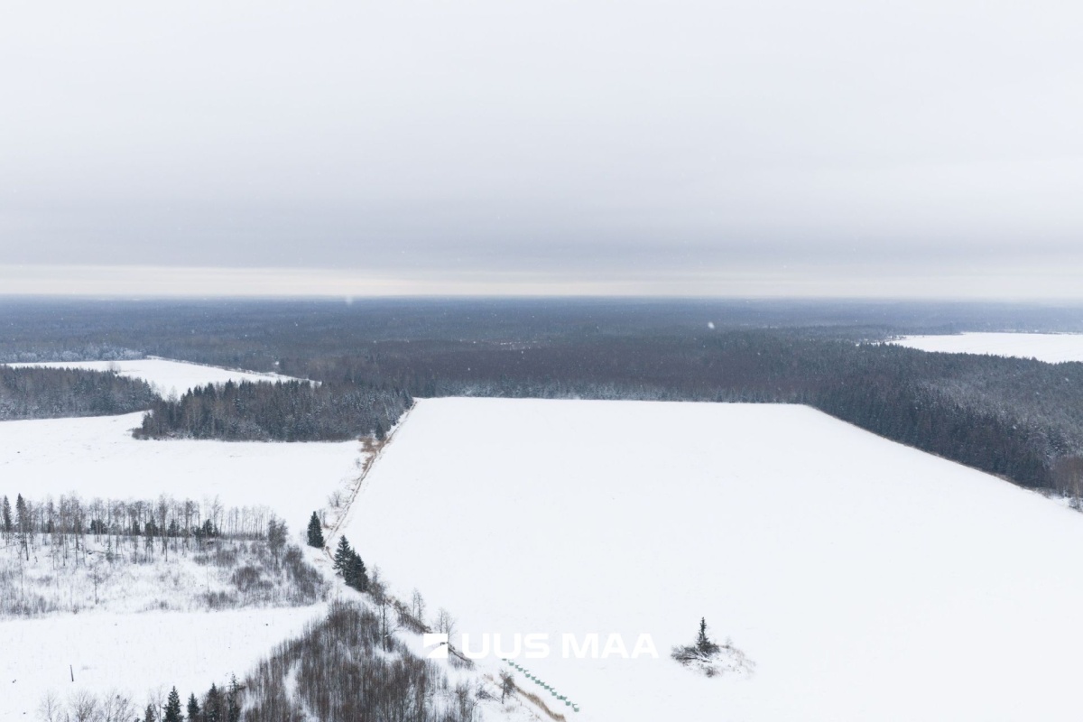 Saue vald, Lehetu küla, Jõetaguse