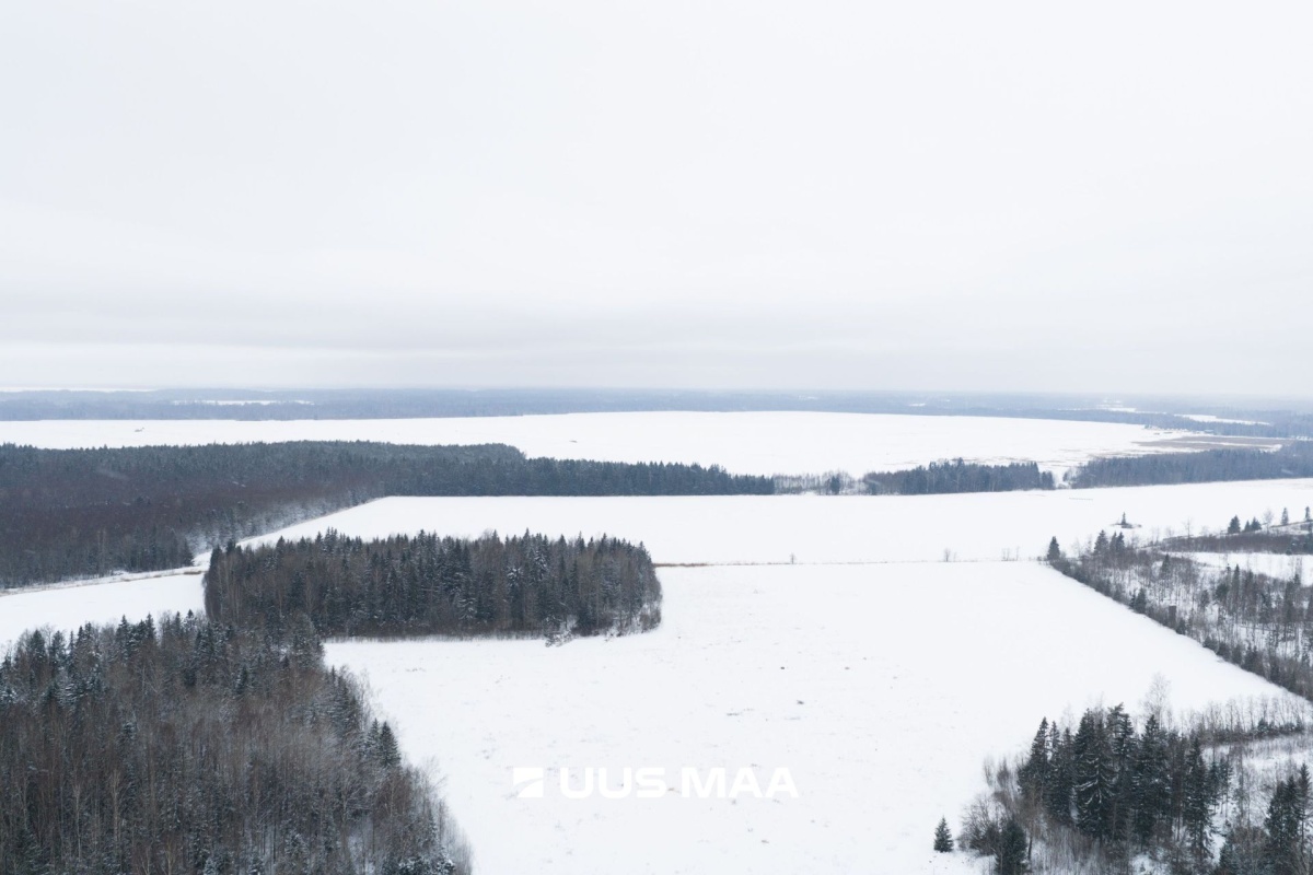 Saue vald, Lehetu küla, Jõetaguse