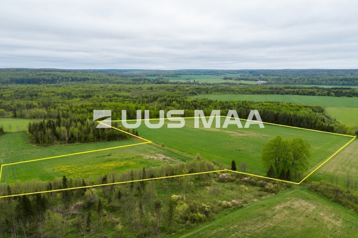 Saue vald, Lehetu küla, Jõetaguse