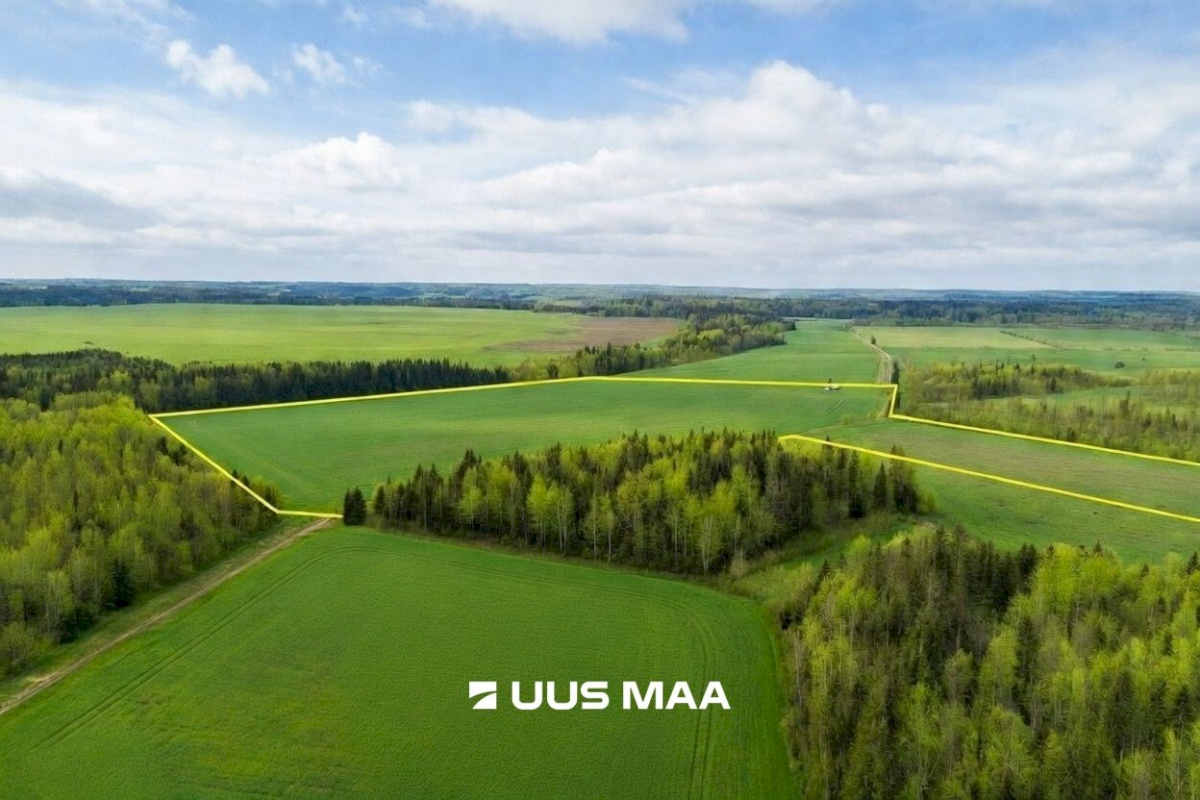 Saue vald, Lehetu küla, Jõetaguse