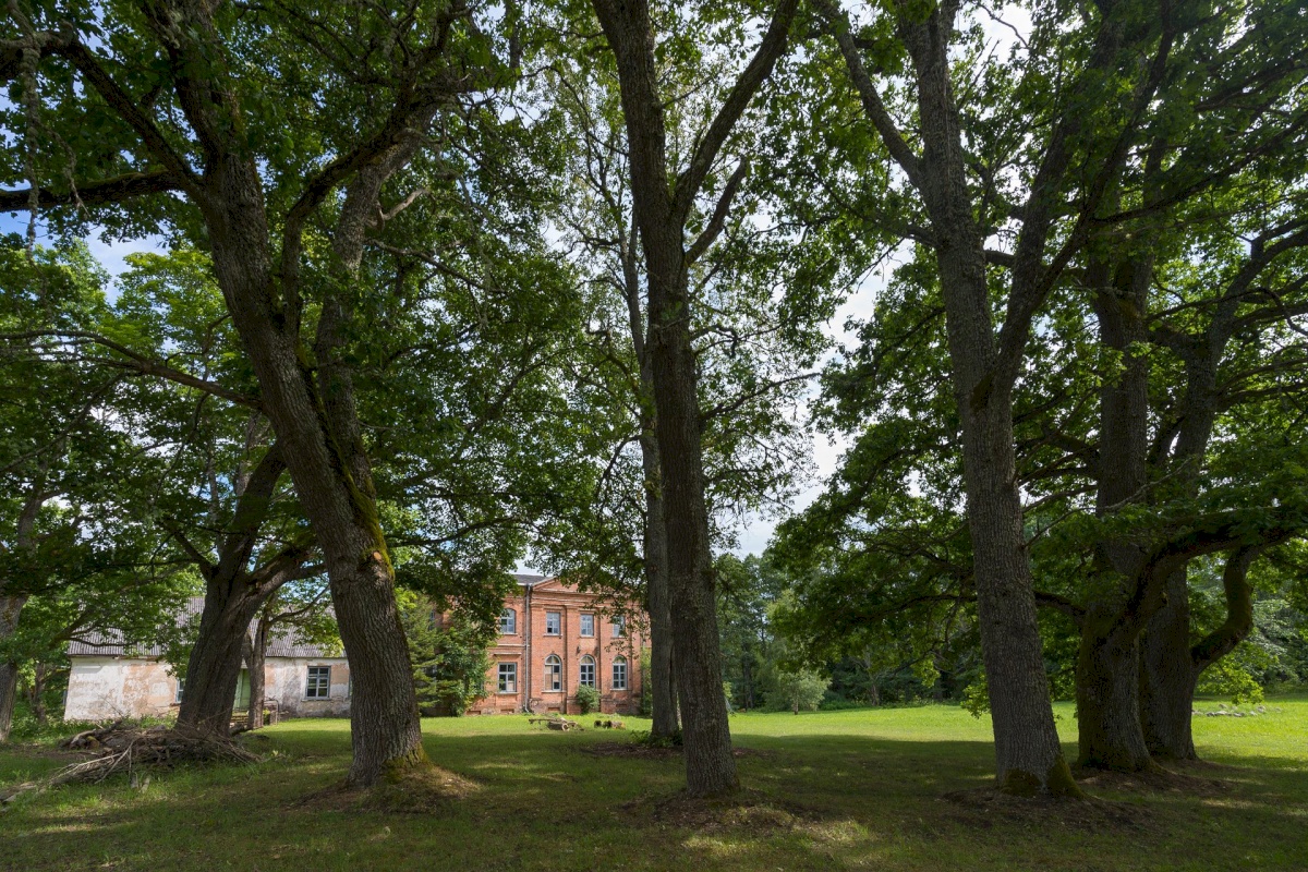 Rõuge vald, Luutsniku küla, Mõisa