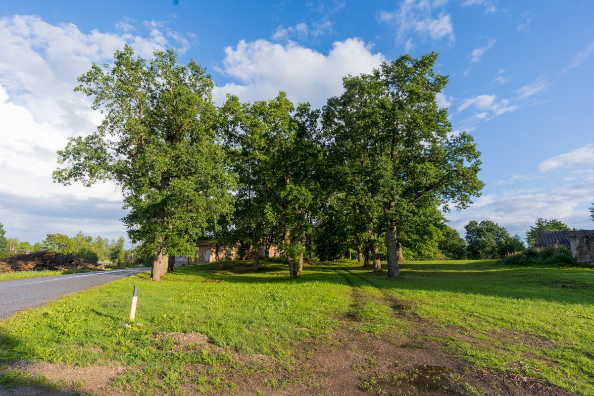 Rõuge vald, Luutsniku küla, Mõisa
