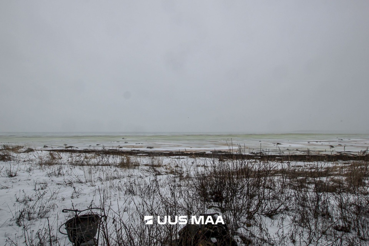 Pärnu linn, Kastna küla, Merikoha