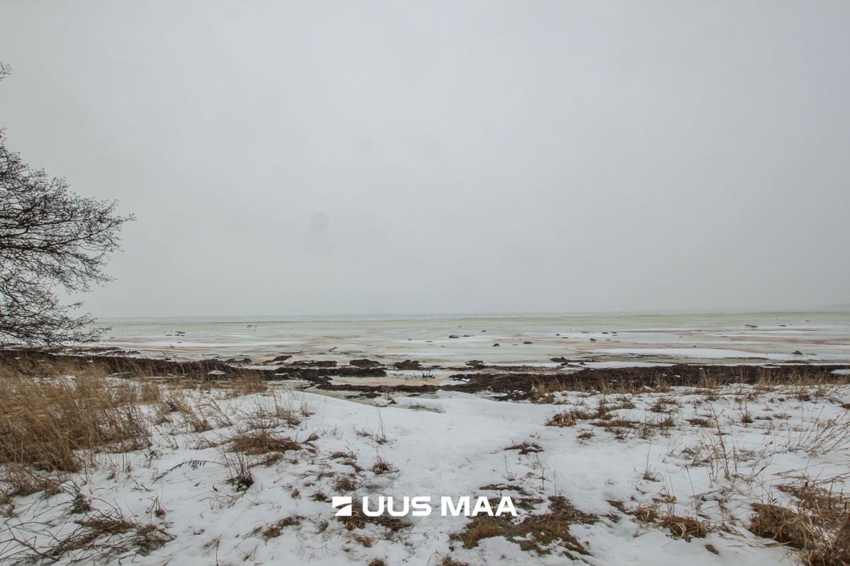 Pärnu linn, Kastna küla, Merikoha