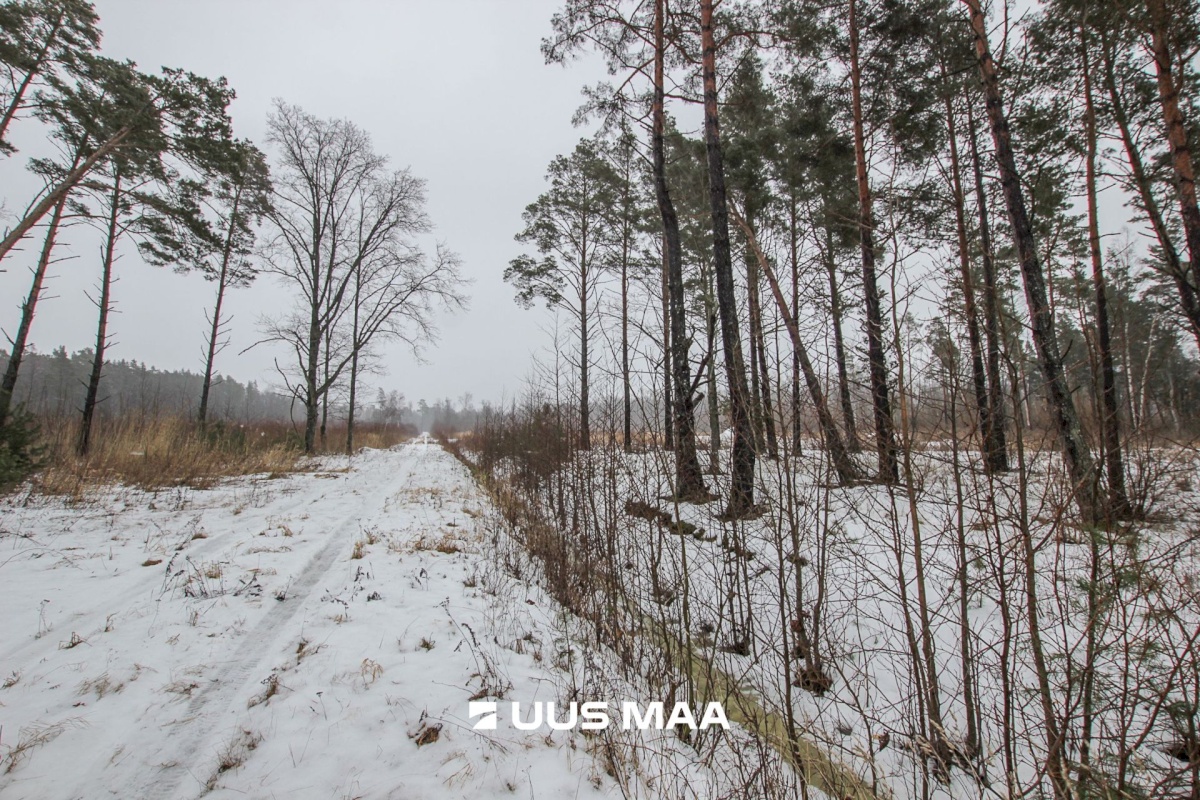Pärnu linn, Kastna küla, Merikoha