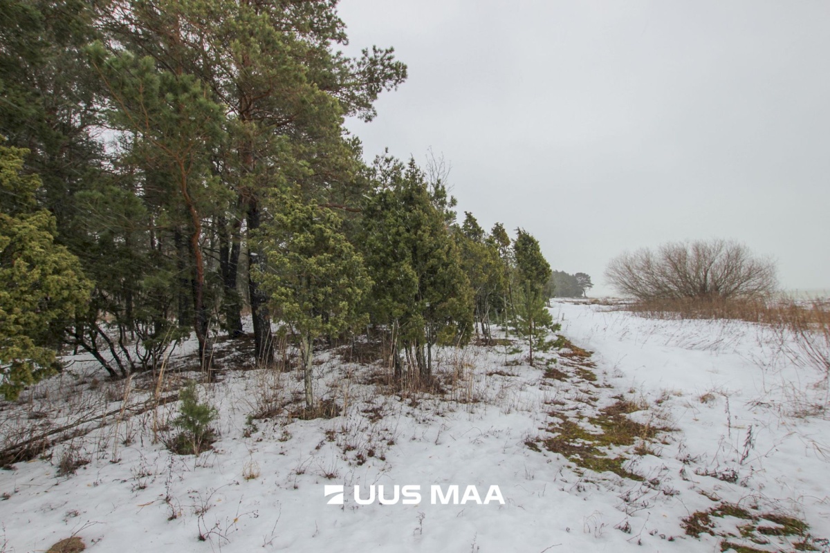 Pärnu linn, Kastna küla, Merikoha