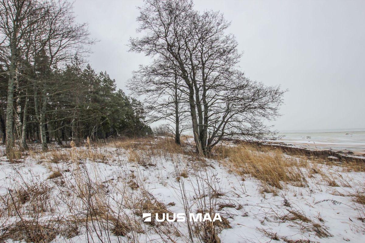 Pärnu linn, Kastna küla, Merikoha