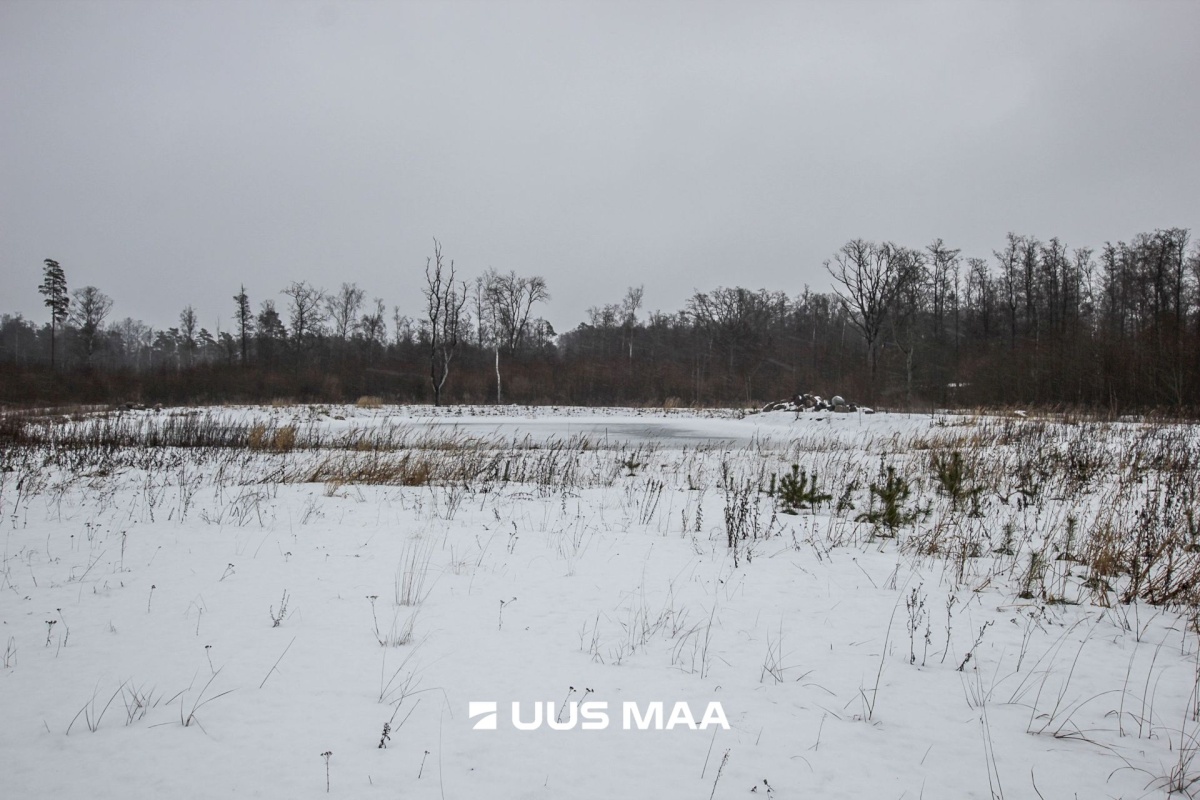 Pärnu linn, Kastna küla, Merikoha