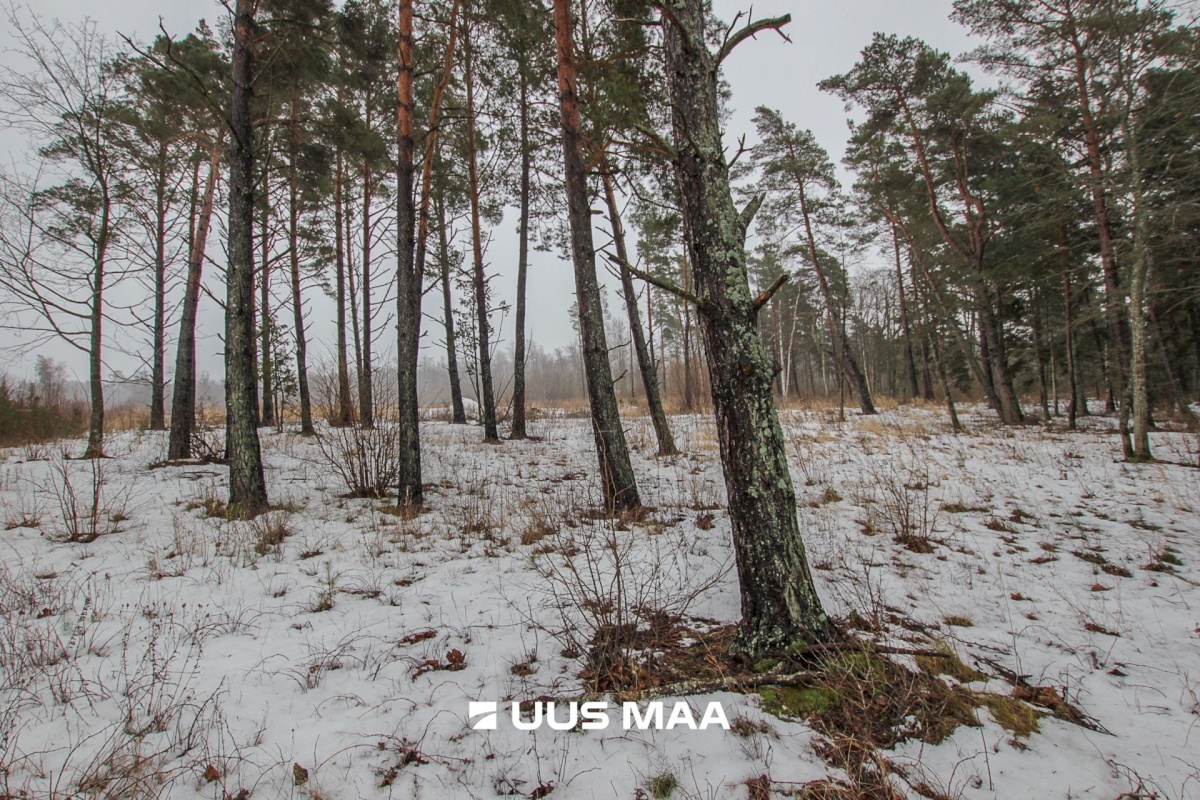 Pärnu linn, Kastna küla, Merikoha