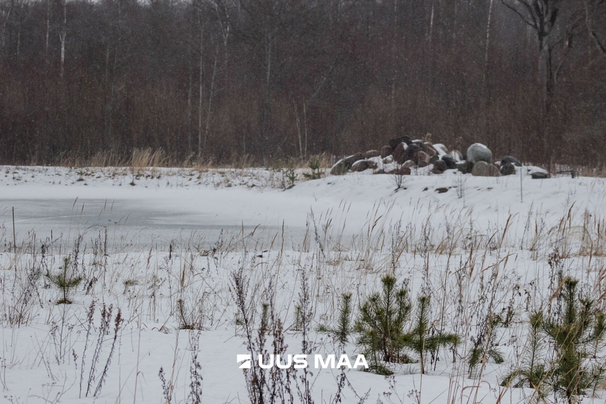 Pärnu linn, Kastna küla, Merikoha