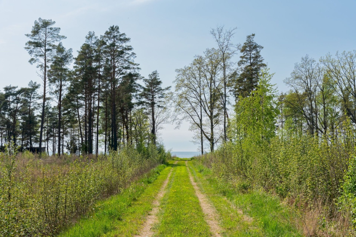 Pärnu linn, Kastna küla, Merikoha