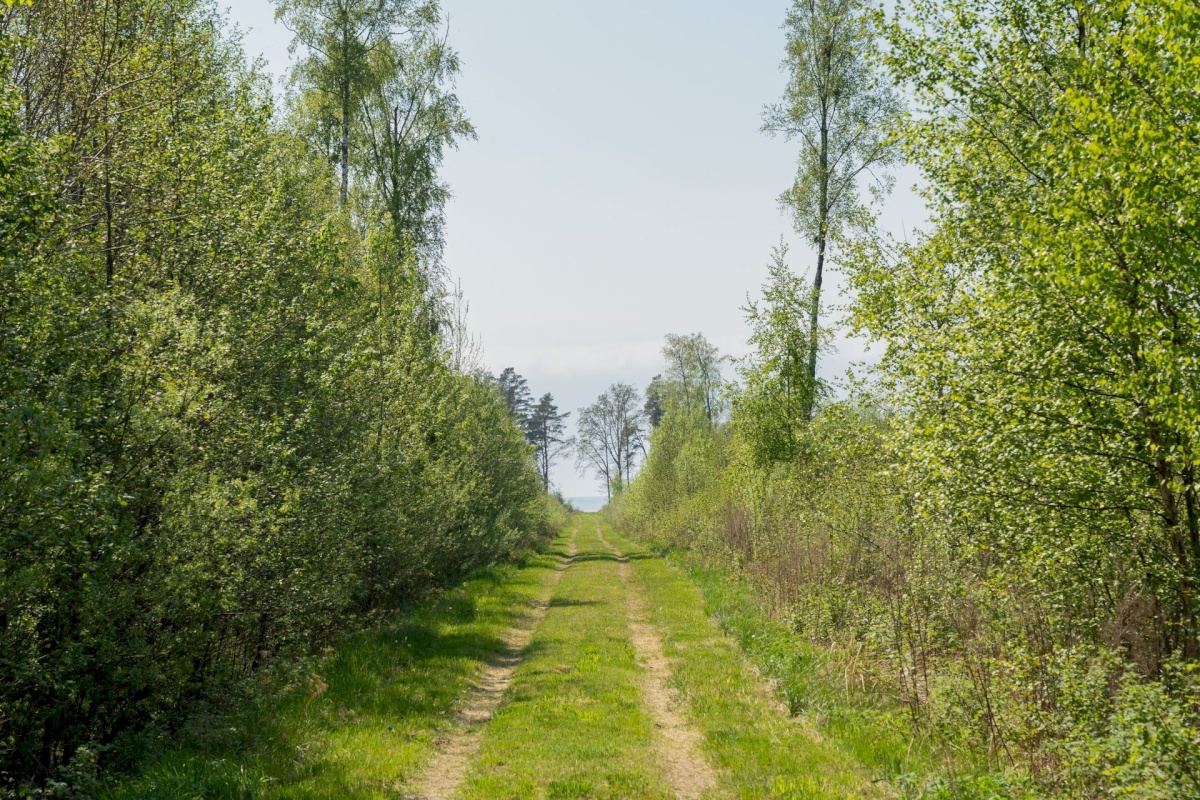 Pärnu linn, Kastna küla, Merikoha