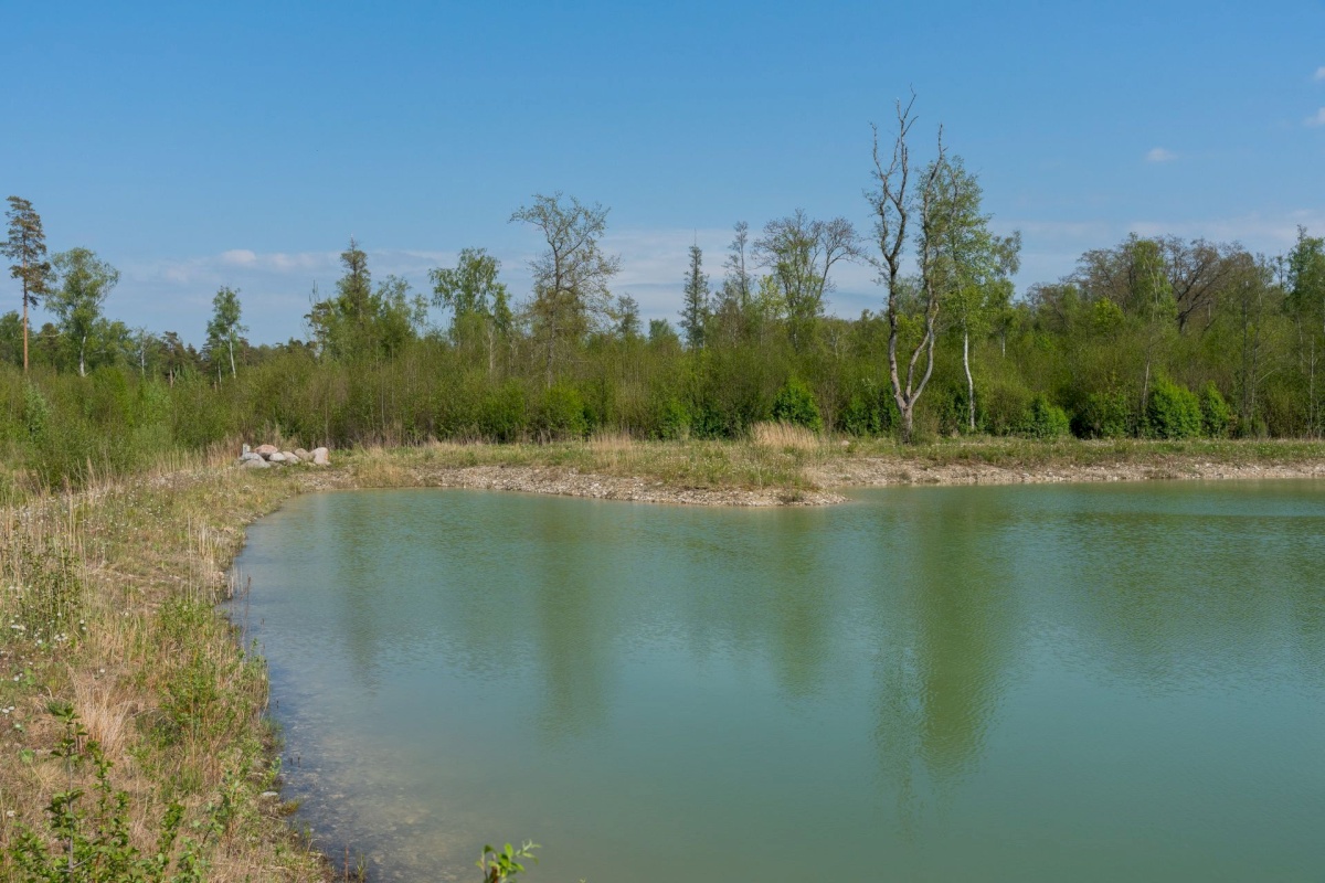 Pärnu linn, Kastna küla, Merikoha