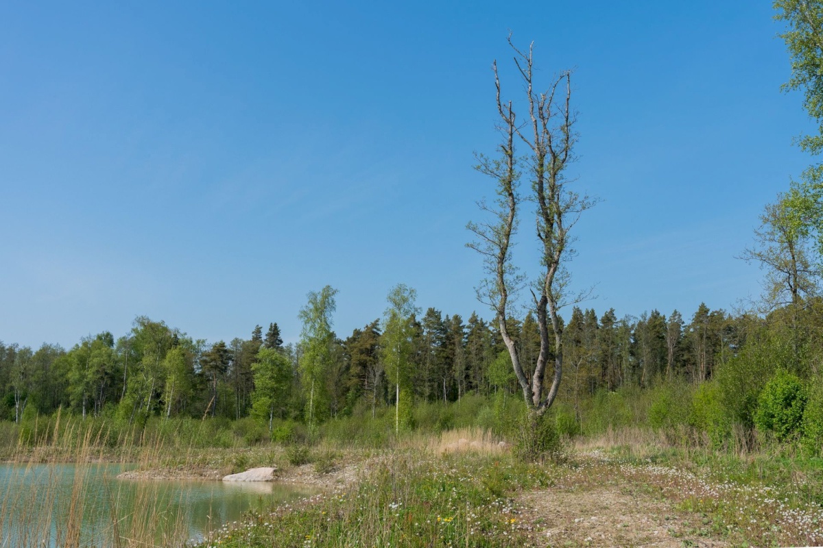 Pärnu linn, Kastna küla, Merikoha
