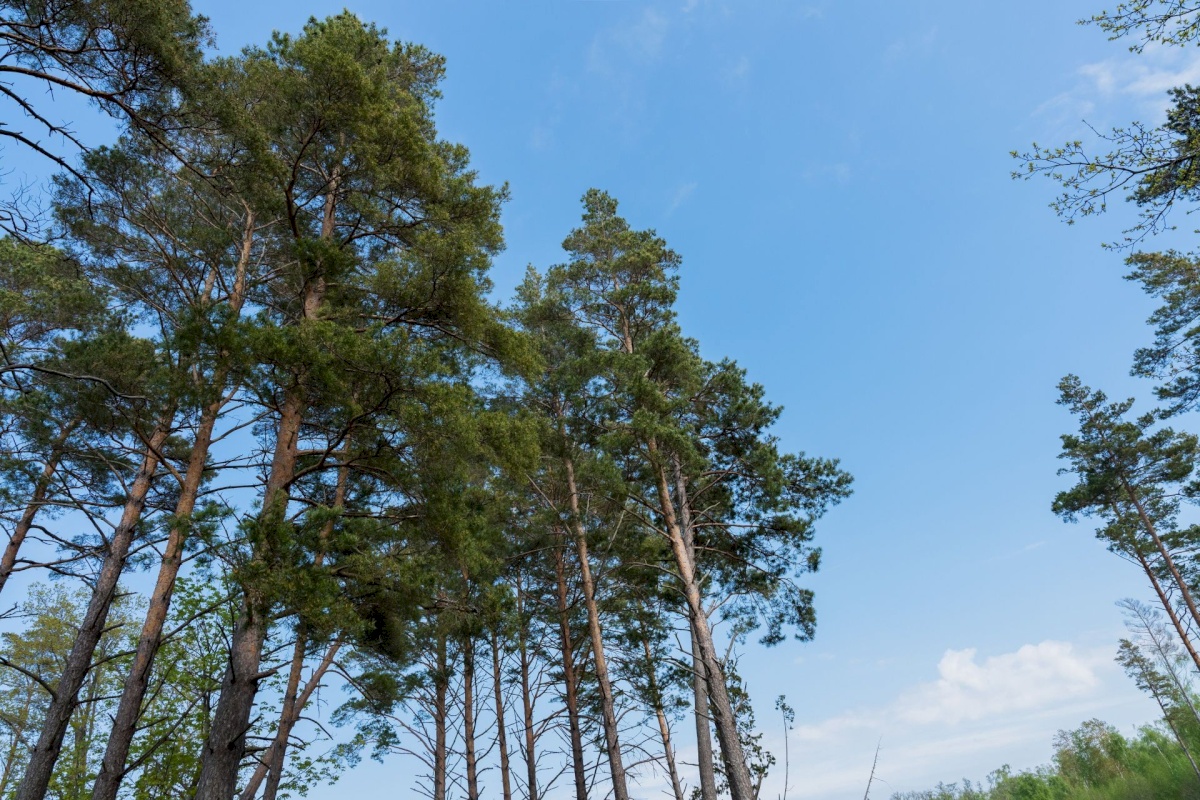 Pärnu linn, Kastna küla, Merikoha