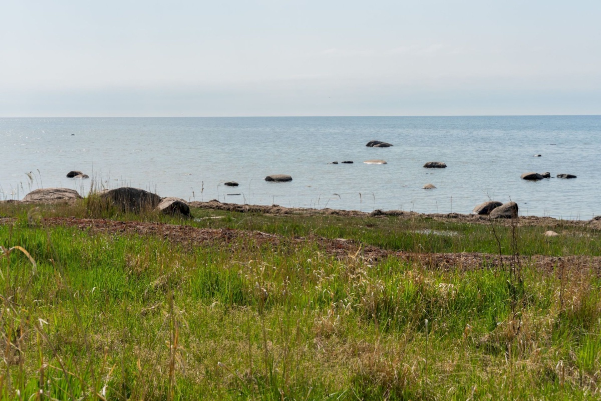 Pärnu linn, Kastna küla, Merikoha