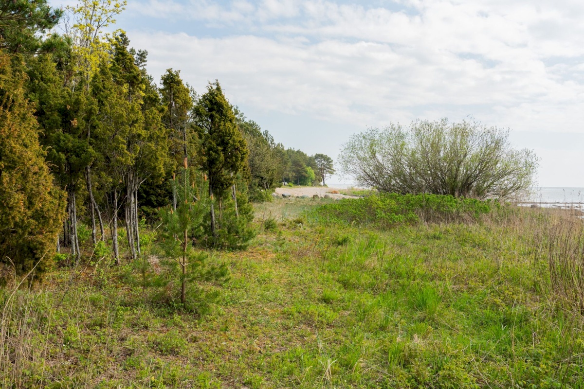 Pärnu linn, Kastna küla, Merikoha