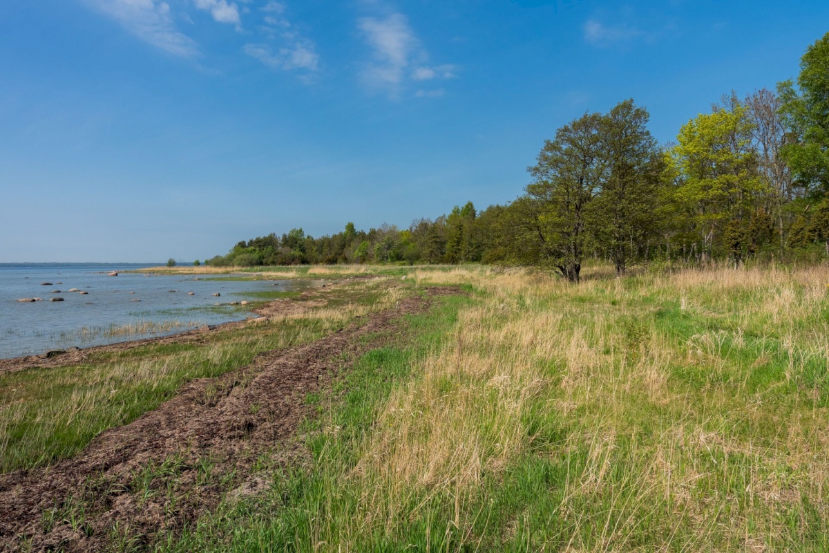 Pärnu linn, Kastna küla, Merikoha
