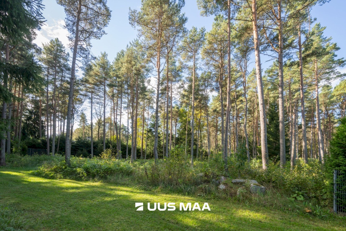 Viimsi vald, Tammneeme küla, Teigari tee 32