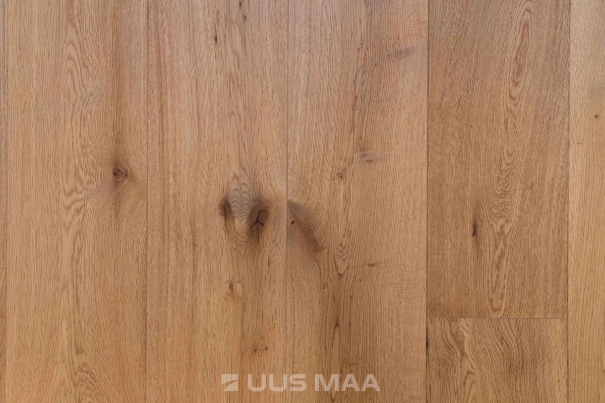 Pärnu linn, Pärnu linn, Kesklinn, Väike-Kuke 6