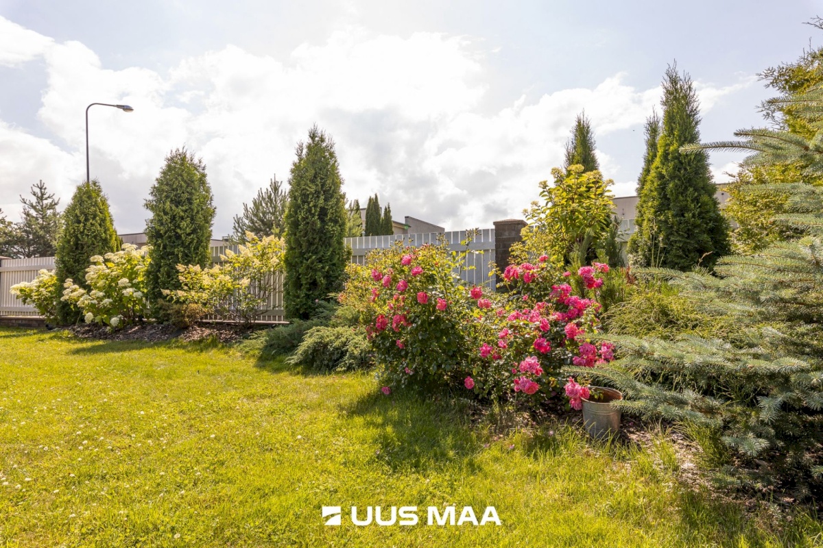 Tallinn, Haabersti linnaosa, Pikaliiva, Rangu 10