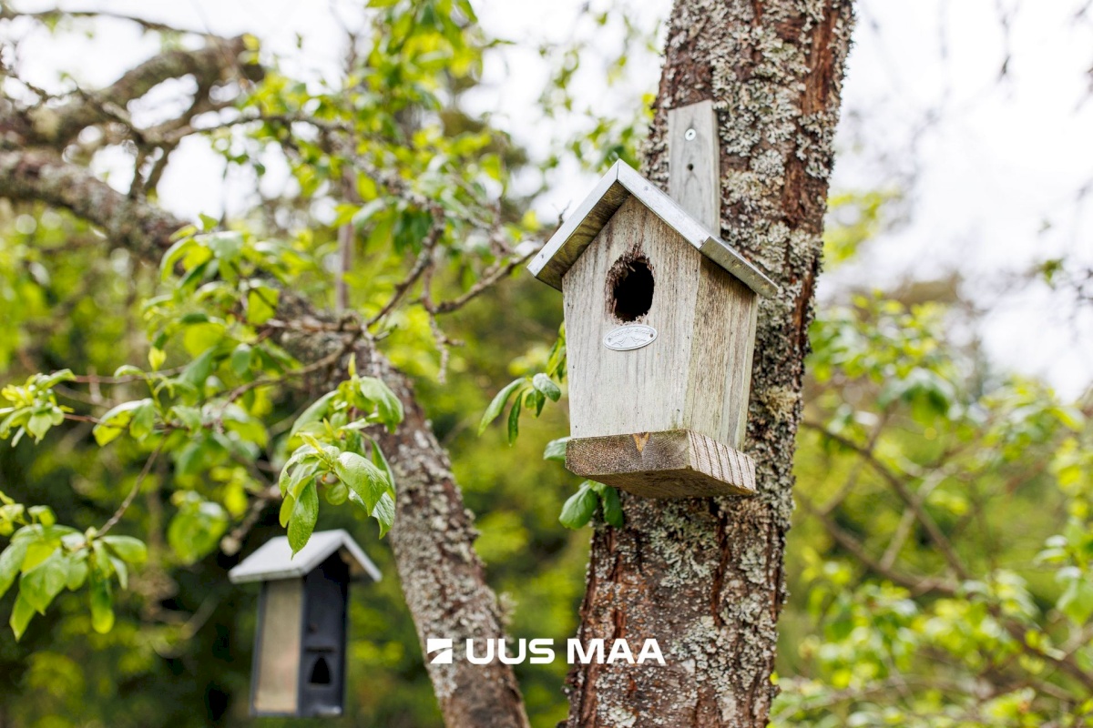 Anija vald, Vikipalu küla, Metsaveere vkt 40