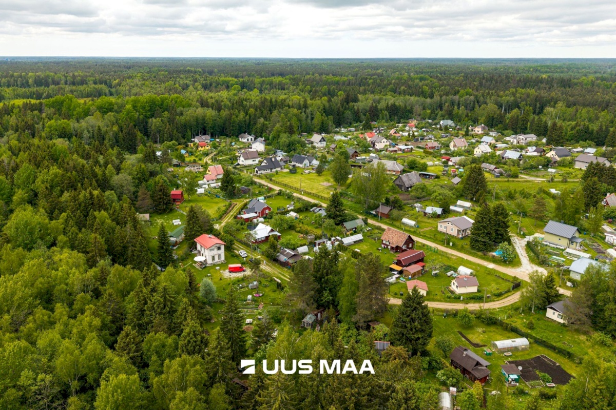 Anija vald, Vikipalu küla, Metsaveere vkt 40